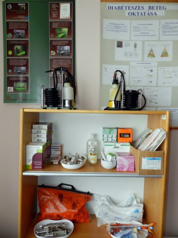 Kossuth Zsuzsanna emlékülés 2017 09